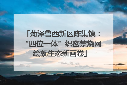 菏泽鲁西新区陈集镇：“四位一体”织密禁烧网 绘就生态新画卷