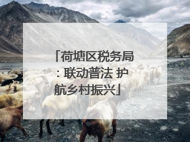 荷塘区税务局：联动普法 护航乡村振兴