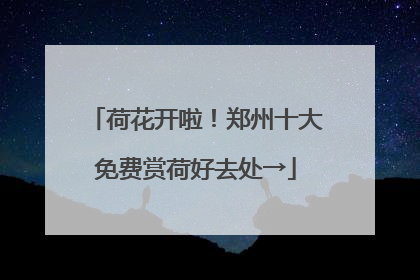 荷花开啦！郑州十大免费赏荷好去处→