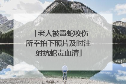老人被毒蛇咬伤 所幸拍下照片及时注射抗蛇毒血清