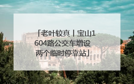 老叶较真丨宝山1604路公交车增设两个临时停靠站
