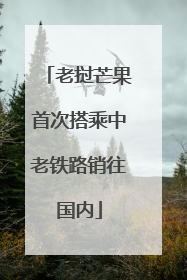 老挝芒果首次搭乘中老铁路销往国内