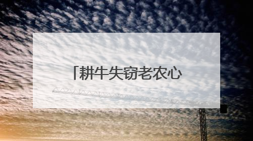 耕牛失窃老农心急如焚 民警锲而不舍追回耕牛