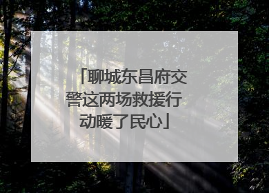 聊城东昌府交警这两场救援行动暖了民心