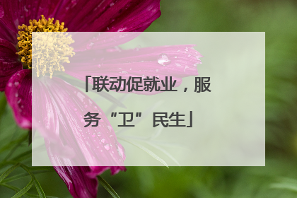 联动促就业，服务“卫”民生