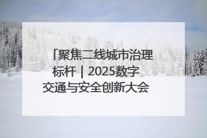 聚焦二线城市治理标杆｜2025数字交通与安全创新大会在保定隆重开幕