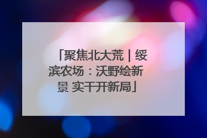 聚焦北大荒｜绥滨农场：沃野绘新景 实干开新局