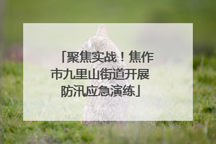 聚焦实战！焦作市九里山街道开展防汛应急演练