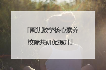 聚焦数学核心素养 校际共研促提升