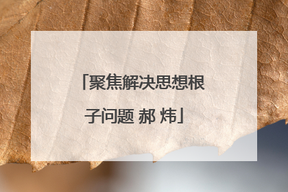 聚焦解决思想根子问题 郝 炜