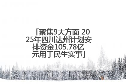聚焦9大方面 2025年四川达州计划安排资金105.78亿元用于民生实事