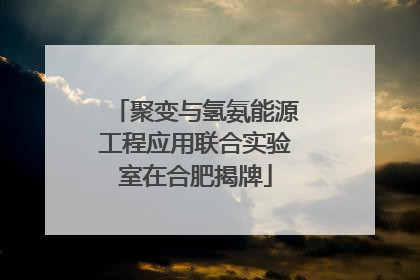 聚变与氢氨能源工程应用联合实验室在合肥揭牌