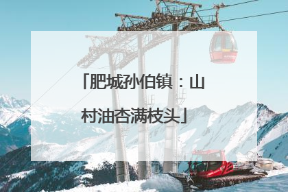 肥城孙伯镇：山村油杏满枝头