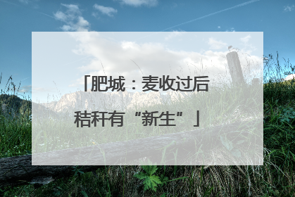 肥城：麦收过后秸秆有“新生”