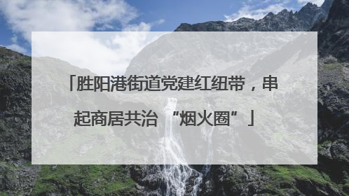 胜阳港街道党建红纽带，串起商居共治 “烟火圈”