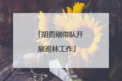 胡勇刚带队开展巡林工作