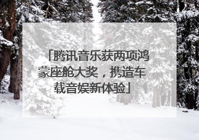 腾讯音乐获两项鸿蒙座舱大奖，携造车载音娱新体验