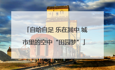 自给自足 乐在其中 城市里的空中“田园梦”