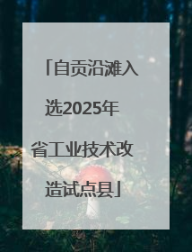 自贡沿滩入选2025年省工业技术改造试点县