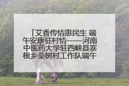 艾香传情惠民生 端午安康驻村情——河南中医药大学驻西峡县寨根乡桑树村工作队端午中医惠民记