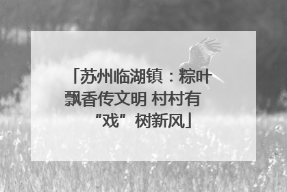 苏州临湖镇：粽叶飘香传文明 村村有“戏”树新风