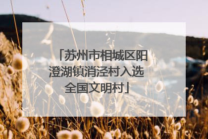 苏州市相城区阳澄湖镇消泾村入选全国文明村