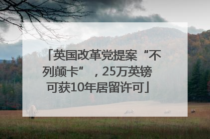 英国改革党提案“不列颠卡”，25万英镑可获10年居留许可