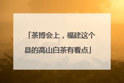 茶博会上，福建这个县的高山白茶有看点
