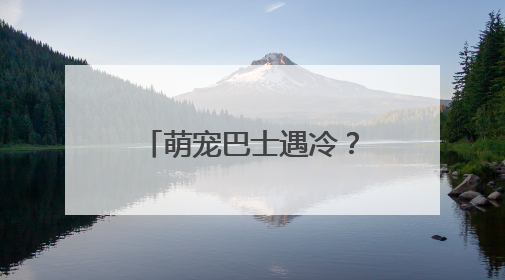 萌宠巴士遇冷？合肥公交：满10位乘客才发车！