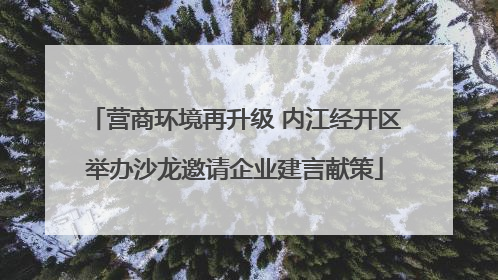 营商环境再升级 内江经开区举办沙龙邀请企业建言献策