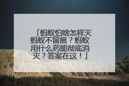 蚂蚁怕啥怎样灭蚂蚁不留痕？蚂蚁用什么药能彻底消灭？答案在这！
