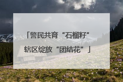 警民共育“石榴籽” 辖区绽放“团结花”