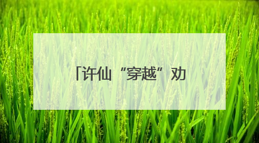 许仙“穿越”劝戒烟！徐汇区第38个世界无烟日活动超吸睛