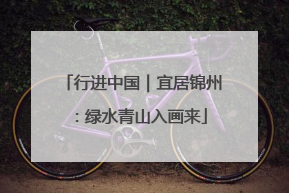 行进中国｜宜居锦州：绿水青山入画来