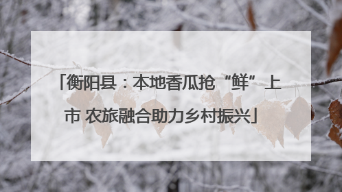 衡阳县：本地香瓜抢“鲜”上市 农旅融合助力乡村振兴