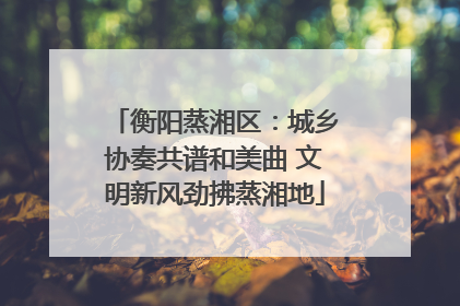 衡阳蒸湘区：城乡协奏共谱和美曲 文明新风劲拂蒸湘地