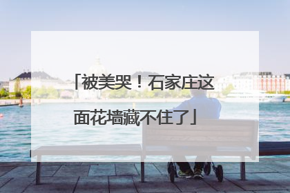 被美哭！石家庄这面花墙藏不住了