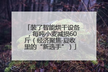 装了智能烘干设备，每吨小麦减损60斤（经济聚焦·夏收里的“新选手”）