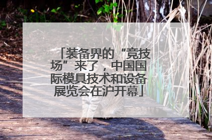 装备界的“竞技场”来了，中国国际模具技术和设备展览会在沪开幕