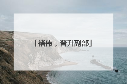 褚伟，晋升副部