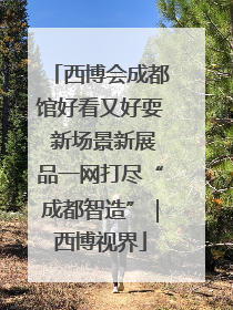 西博会成都馆好看又好耍 新场景新展品一网打尽“成都智造”｜西博视界