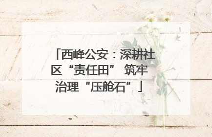 西峰公安：深耕社区“责任田” 筑牢治理“压舱石”