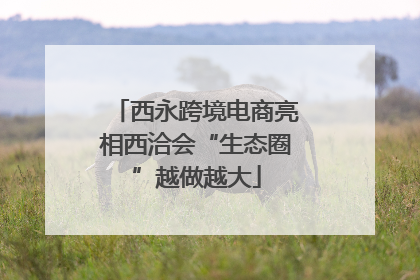 西永跨境电商亮相西洽会“生态圈”越做越大