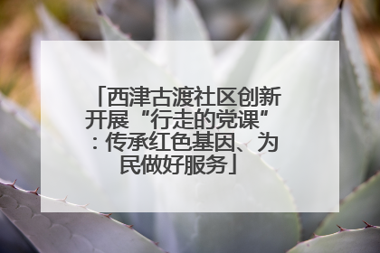西津古渡社区创新开展“行走的党课”：传承红色基因、为民做好服务