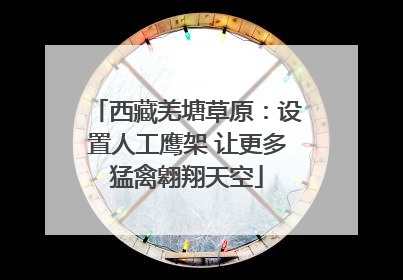 西藏羌塘草原：设置人工鹰架 让更多猛禽翱翔天空