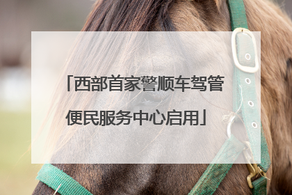西部首家警顺车驾管便民服务中心启用