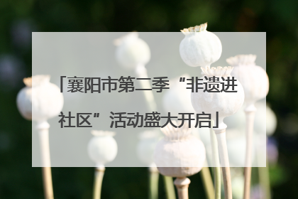 襄阳市第二季“非遗进社区”活动盛大开启