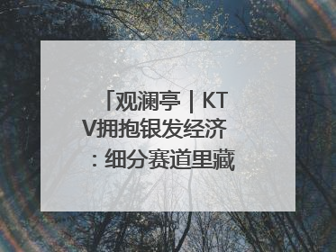观澜亭｜KTV拥抱银发经济：细分赛道里藏着潜在需求