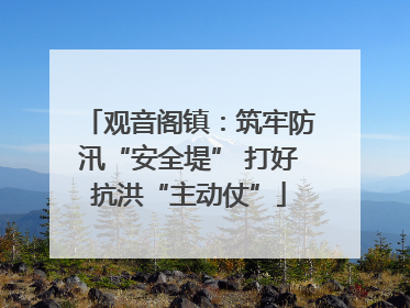 观音阁镇：筑牢防汛“安全堤” 打好抗洪“主动仗”
