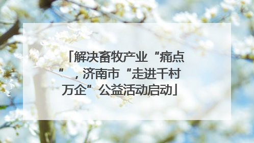 解决畜牧产业“痛点”，济南市“走进千村万企”公益活动启动